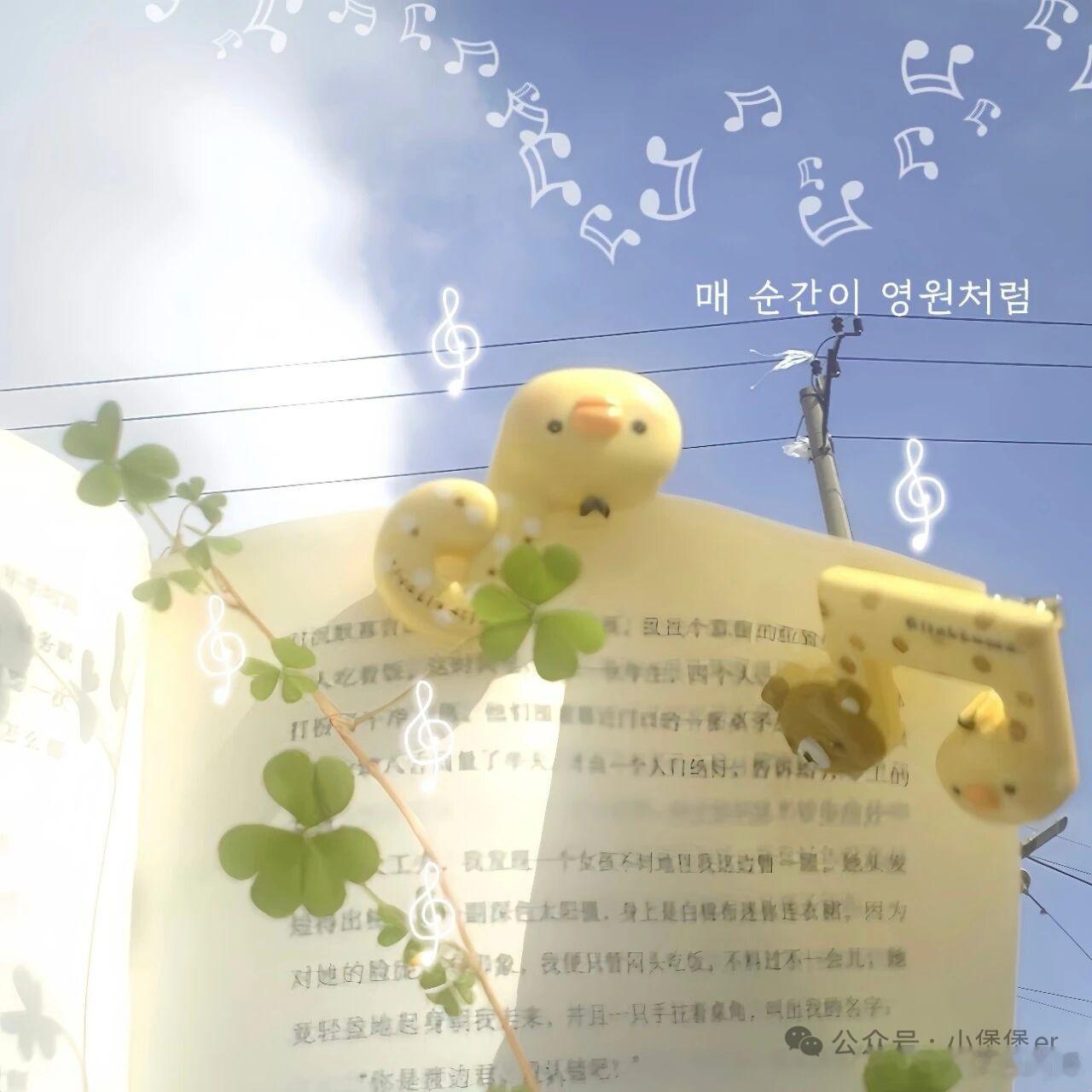𝑾𝒆𝒄𝒉𝒂𝒕｜朋友圈搭配·幸运四叶草 