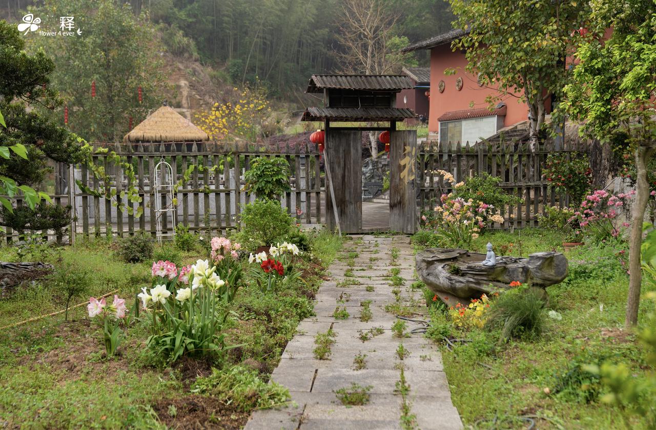 入定园的洋朱集体爆花
这次换房成功，或许和三峰寺的灵验有关。
4个月前我将闽侯上