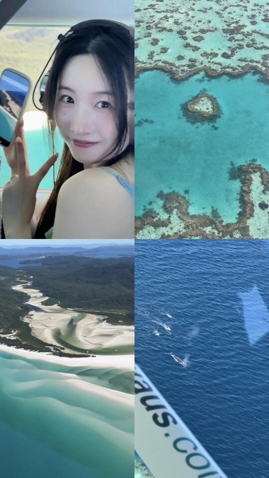 🩵Heart Reef｜偶遇座头鲸🐋迁徙