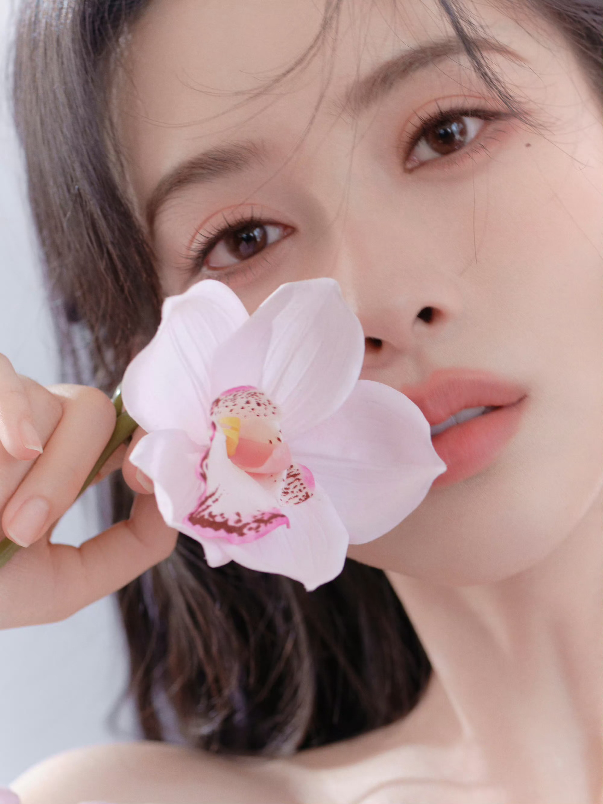 盘点孟子义的“花花世界”：《花琉璃轶闻》《九重紫》《桃花映江山》《百花杀》《爱在