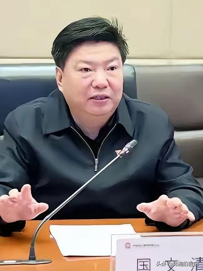 国文清投案，印度那座全球最大高炉该不该建？
五矿原总经理国文清投案了，消息一出，