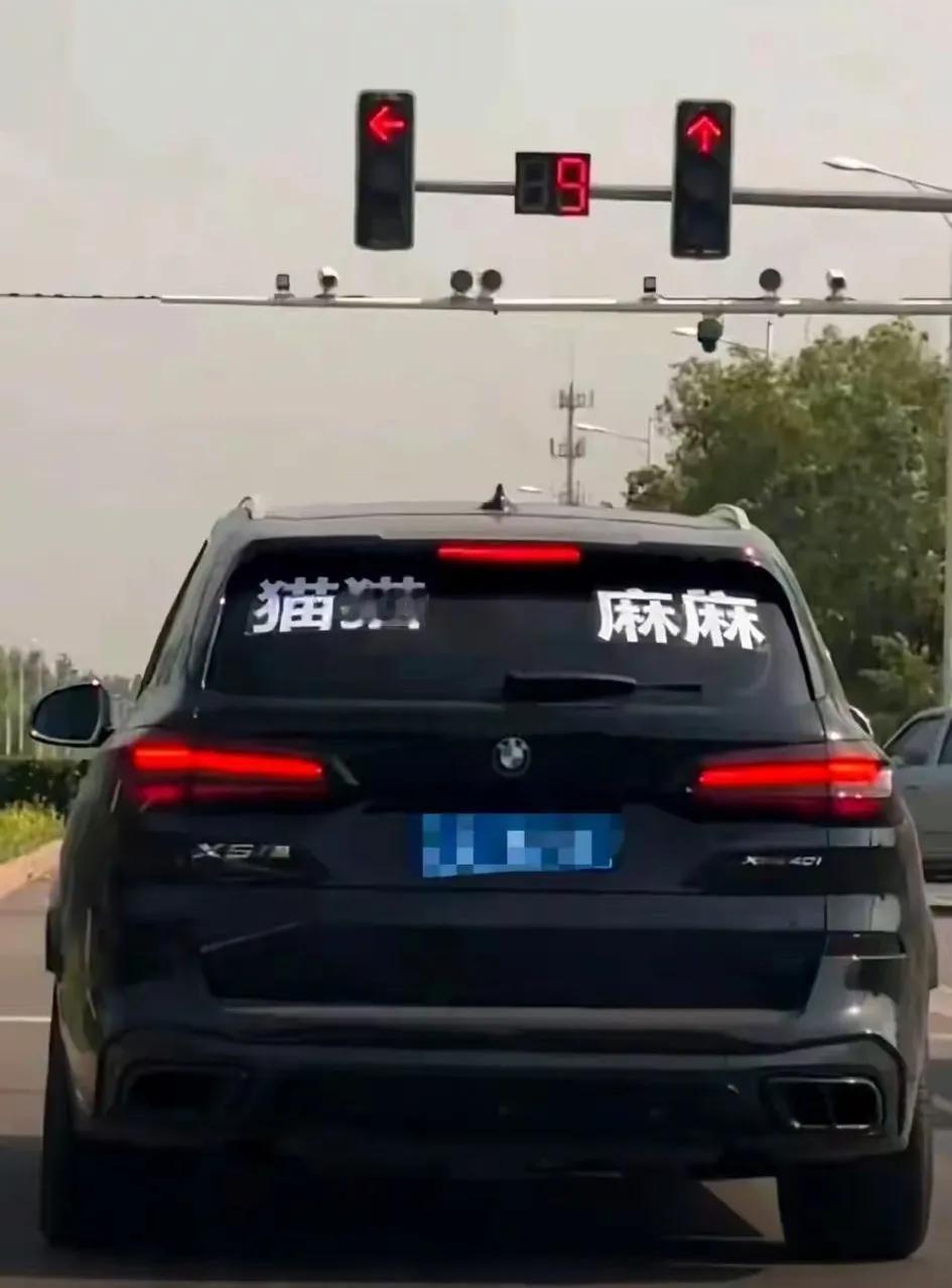 作为保定人都知道“猫猫、麻麻”是啥意思，你说你平时在网络上玩玩梗就算了，竟然还贴