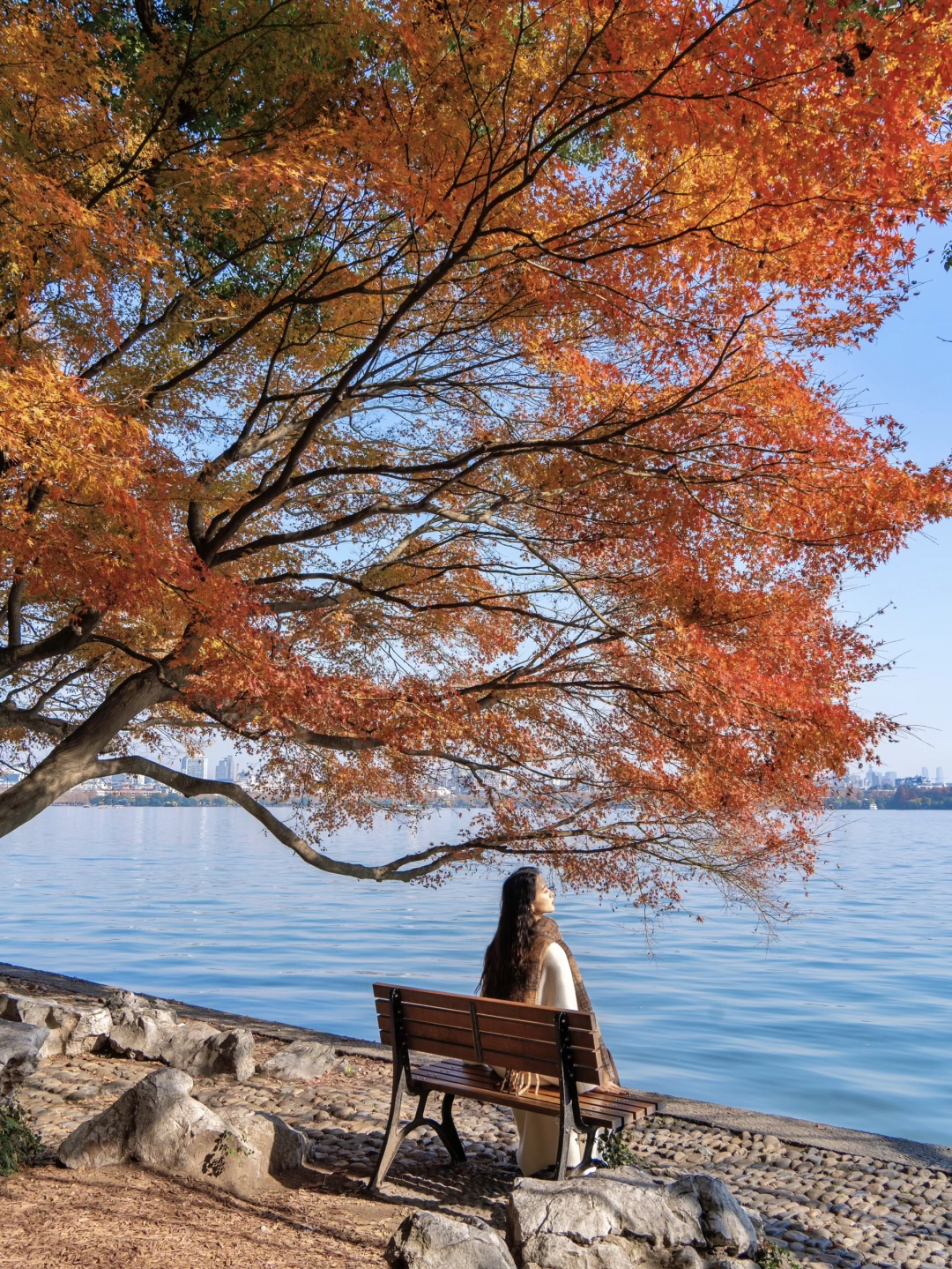 杭州好看的秋景都是免费的！！！！附拍照机位🍂