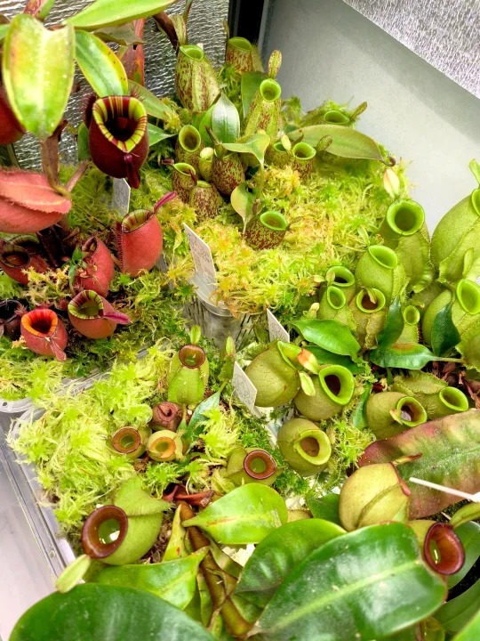 入坑一年的我拥有了这些