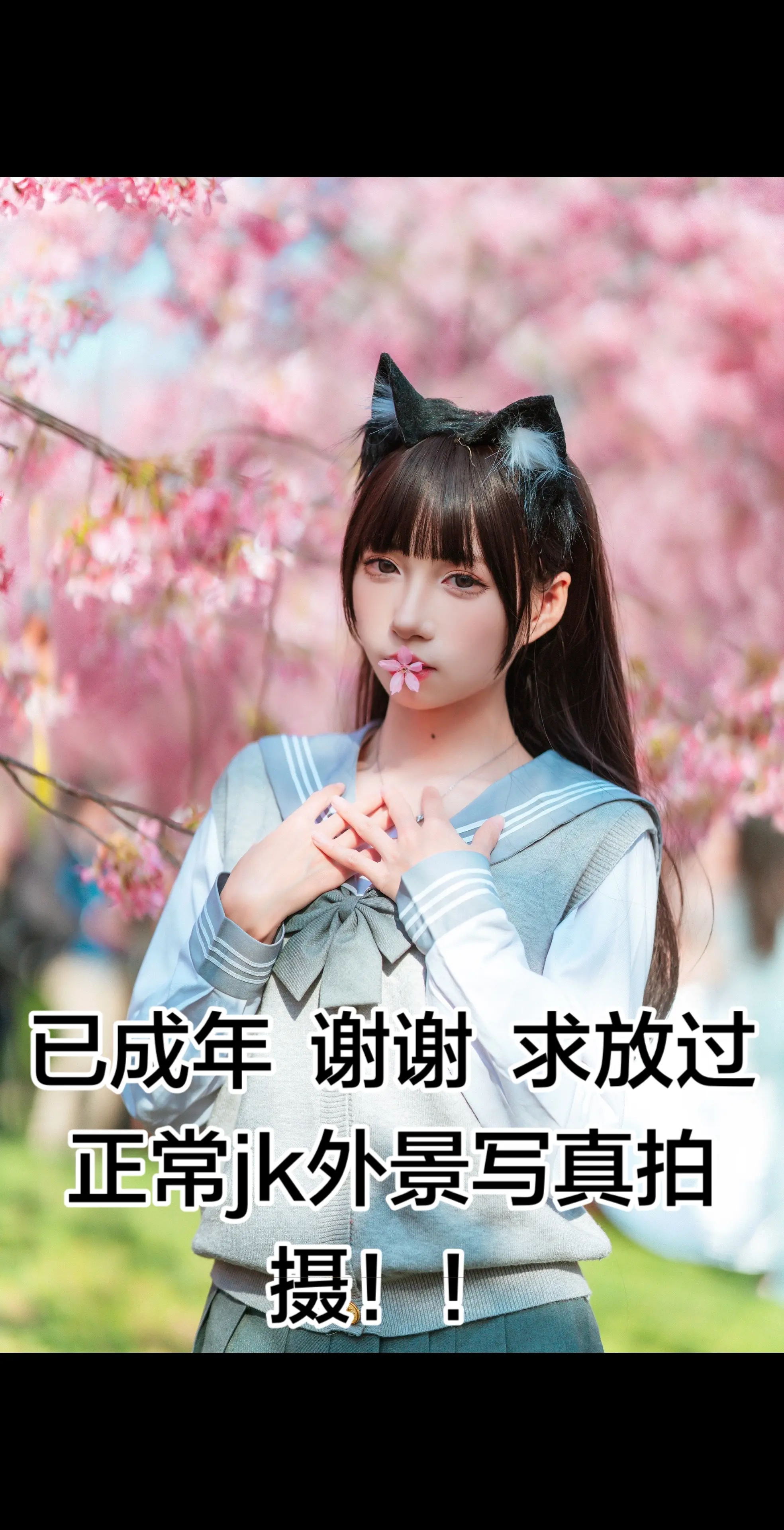 没招了真的。