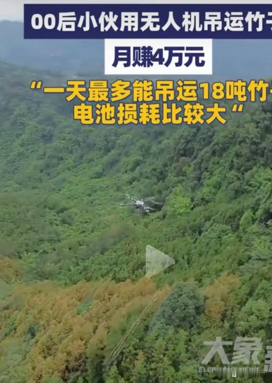 超级搬运工，无人机吊运竹子。

11月2日，四川乐山00后小伙儿用无人机吊运竹子