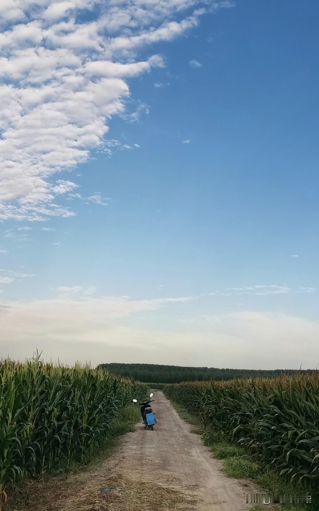 几年前，路过百里外邻县一个名字熟悉但是陌生的镇子——乐亭新寨，十字街口东北角，一