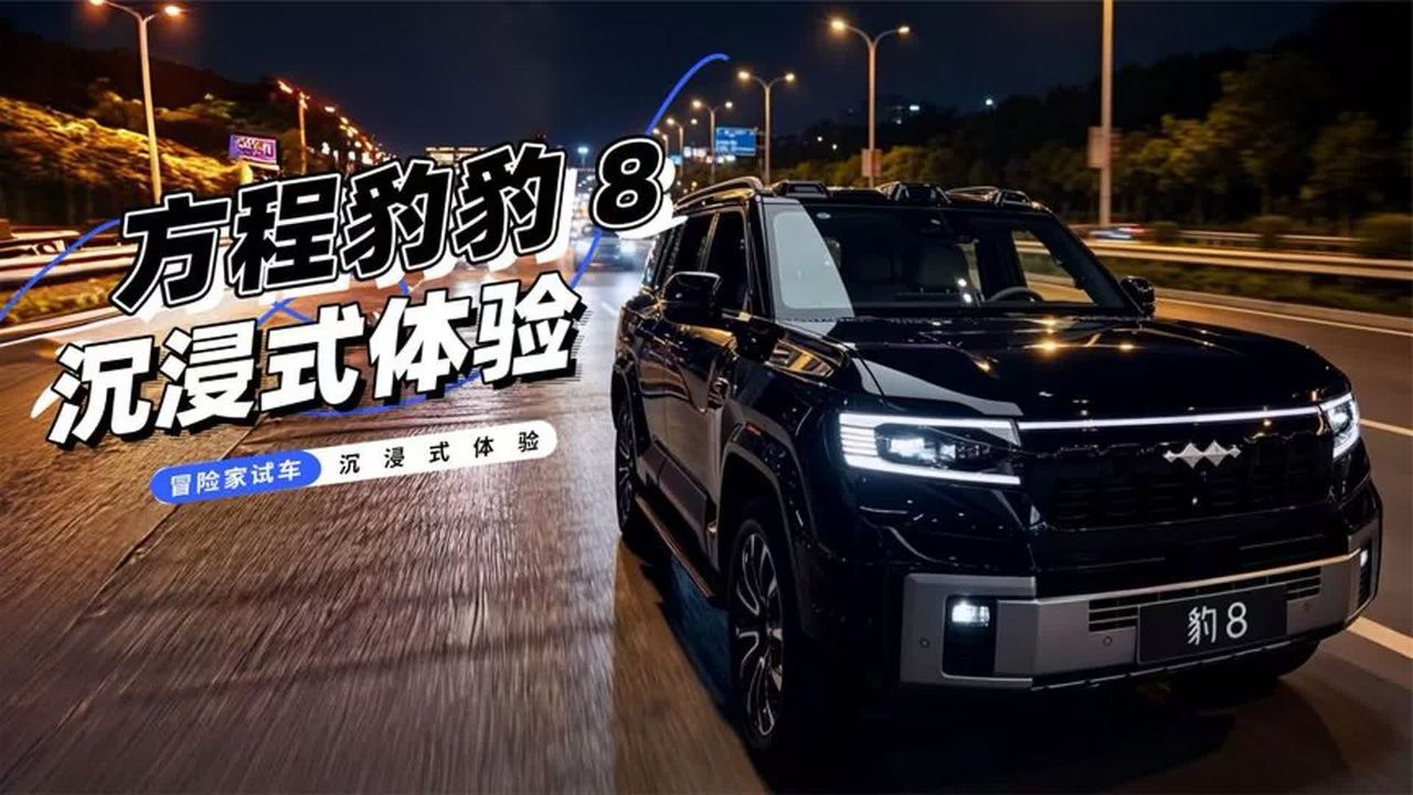 方程豹豹 8--沉浸式体验