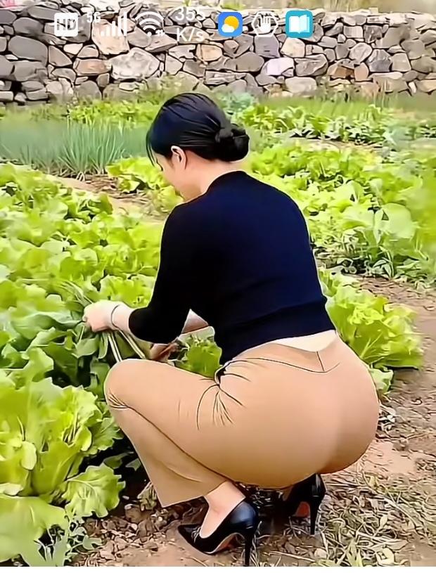 〔农家小院风光好〕
 生来偏爱悠然田园，厌倦闹市车马喧嚣。漫步乡间小路，溪水潺潺