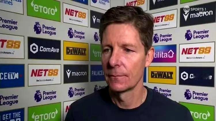 水晶宫主帅为什么公开炮轰俱乐部？

是格拉斯纳不满球队拿欧战资格后，俱乐部不补阵