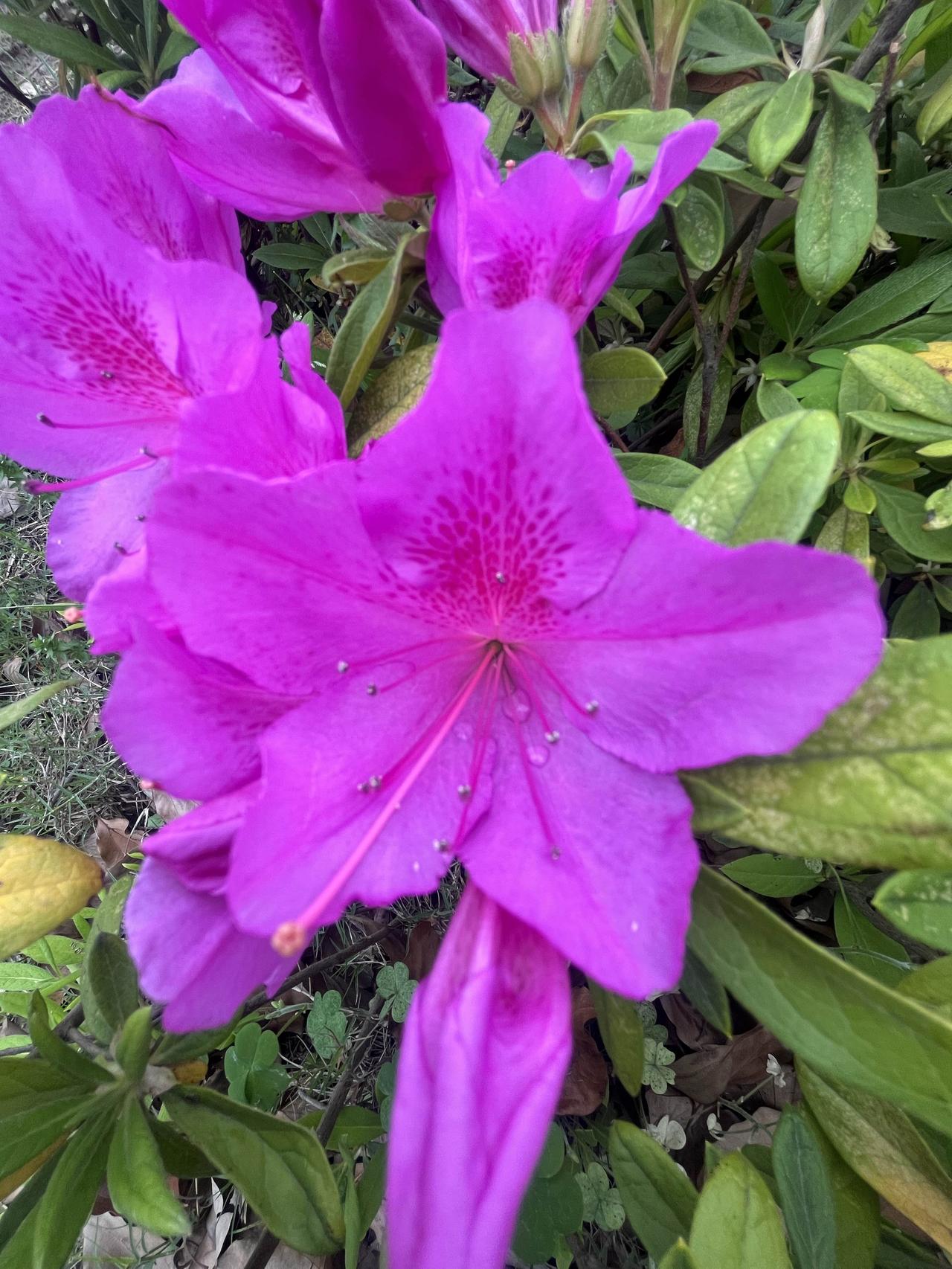 人到中年最蠢的事——
保温杯里泡枸杞，半夜还在刷手机。
熬夜上火灌凉茶，焦虑起来