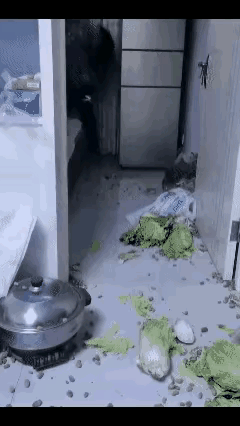 一位母亲从家乡辗转多次换乘交通工具，给儿子送来蔬菜。儿子在母亲临行前，用手机给她