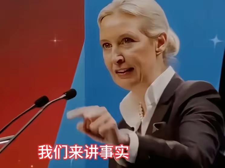 据说德国极右翼政党选择党党首魏德尔在中国拥有大批狂热粉丝。
全面看待魏德尔和她的