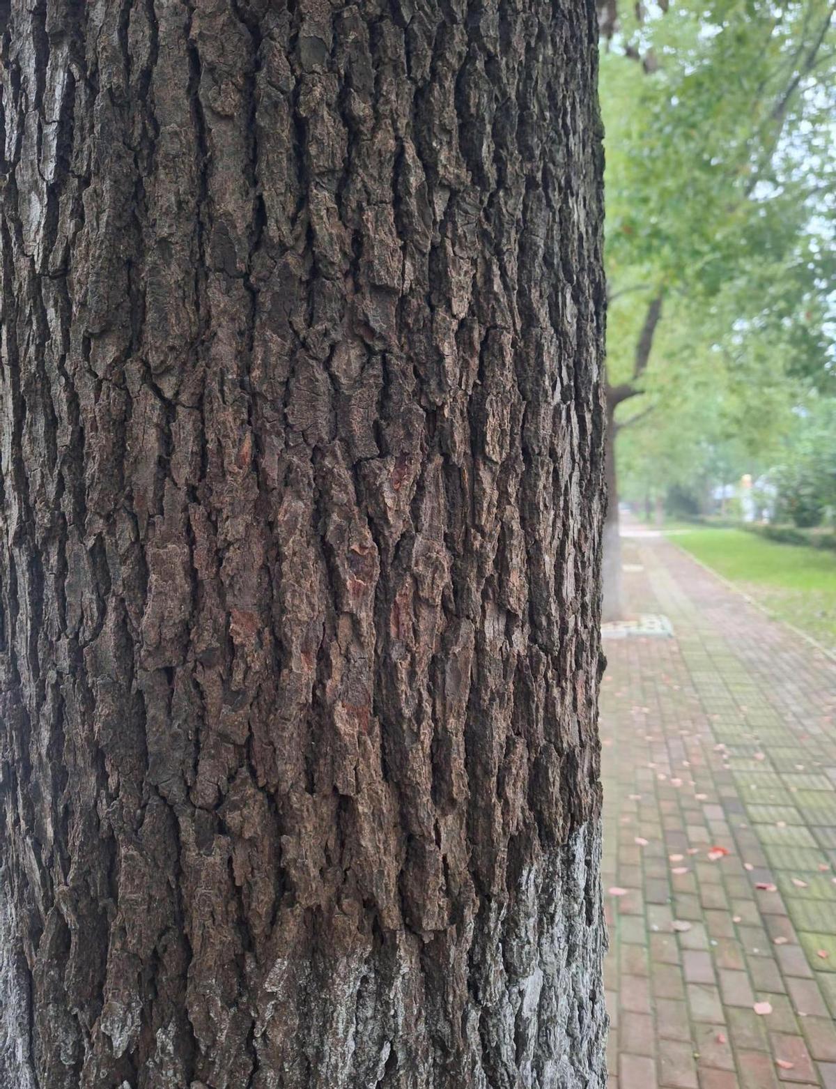 老叔换鞋那天下了场没湿地的雨，北京人管这叫“雾雨”，气象局都专门发提醒：别小看它