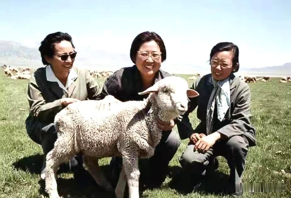 1973年，新疆天山草原，李敏、李先念夫人林佳楣、赛福鼎夫人阿依木在此留下合影。