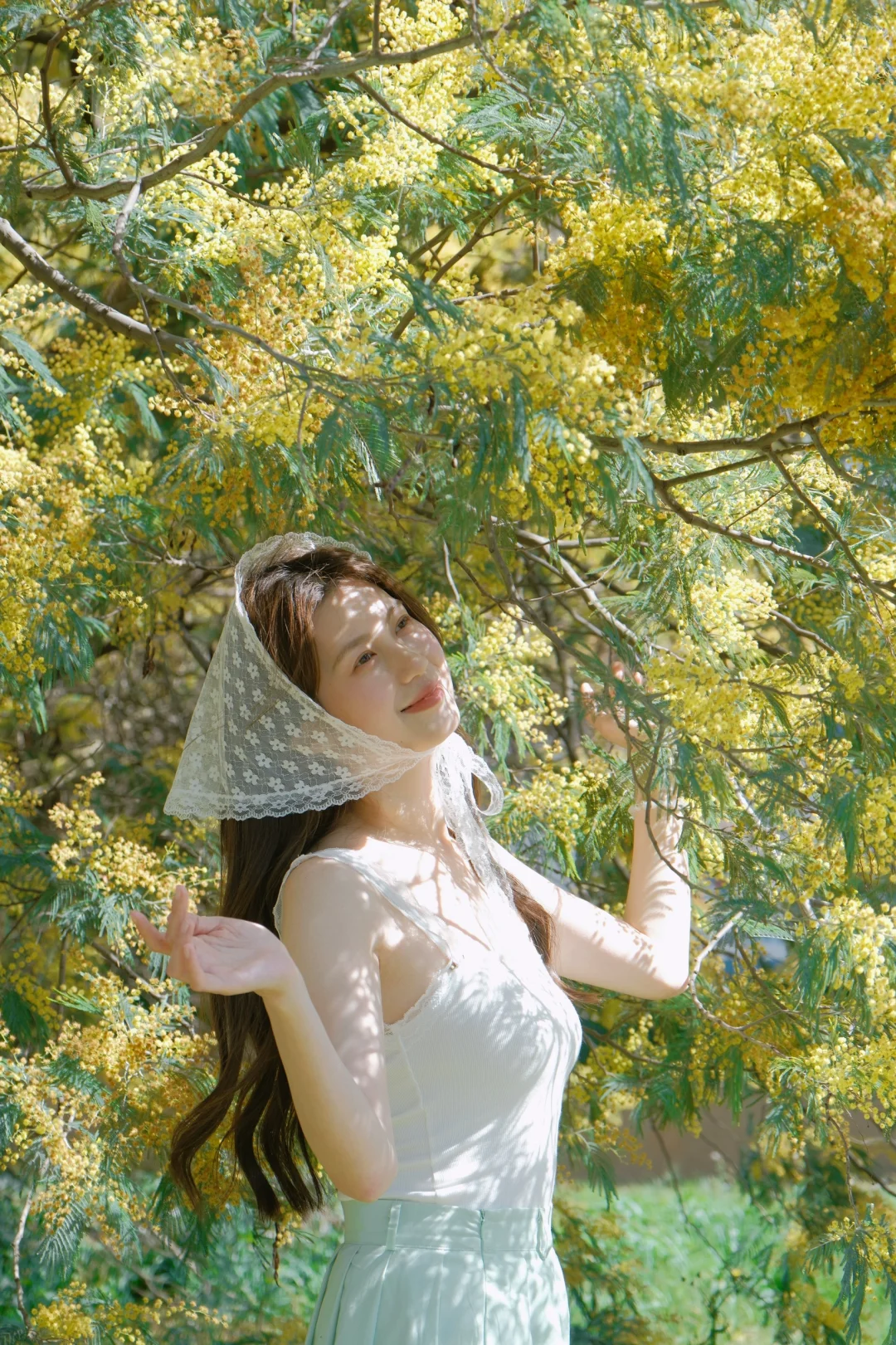 🌼春日的光影下