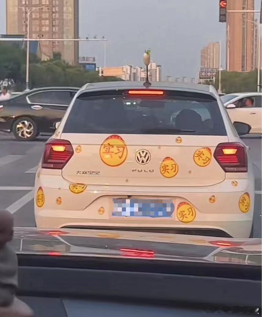 满车的护身符…听说现在新手司机都这么干了，你在路上见到过吗？[喵喵] #大v聊车