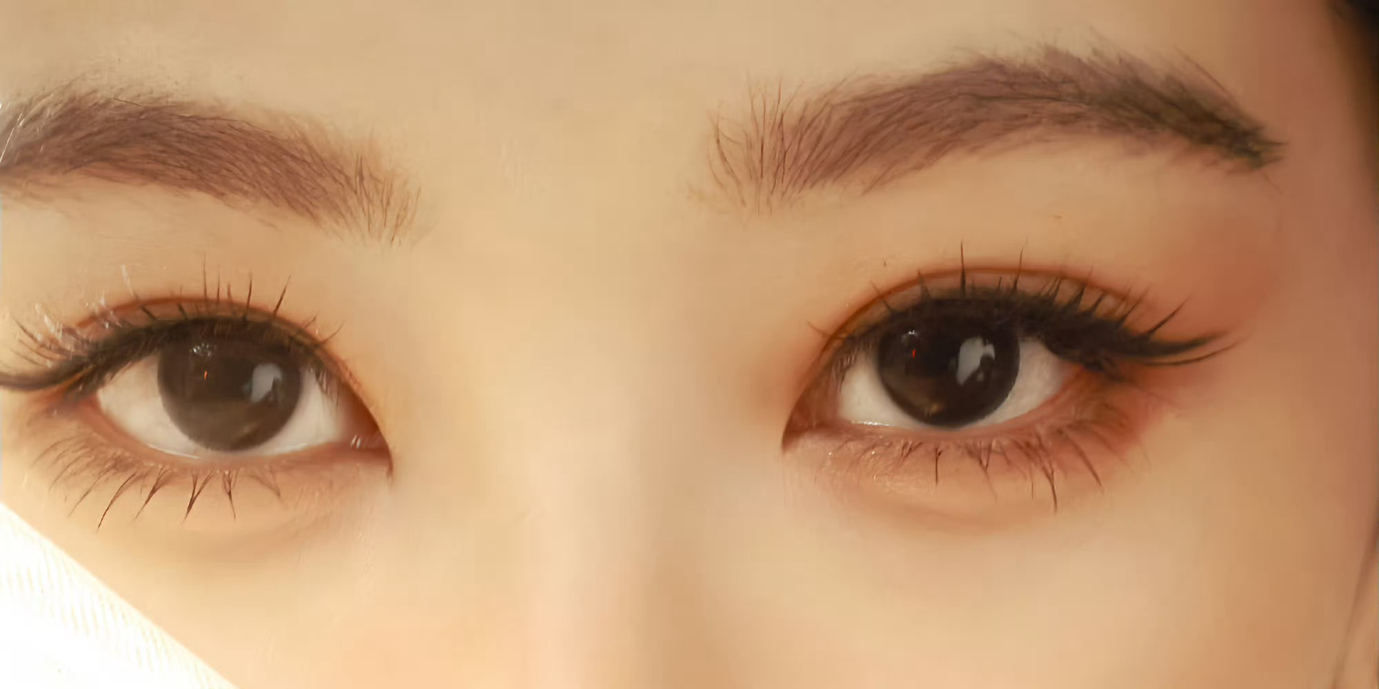 杨紫 yz杨紫玉兰花开君再来 yz杨紫董竹君 太阳之所以伟大是因为他连尘埃都能照