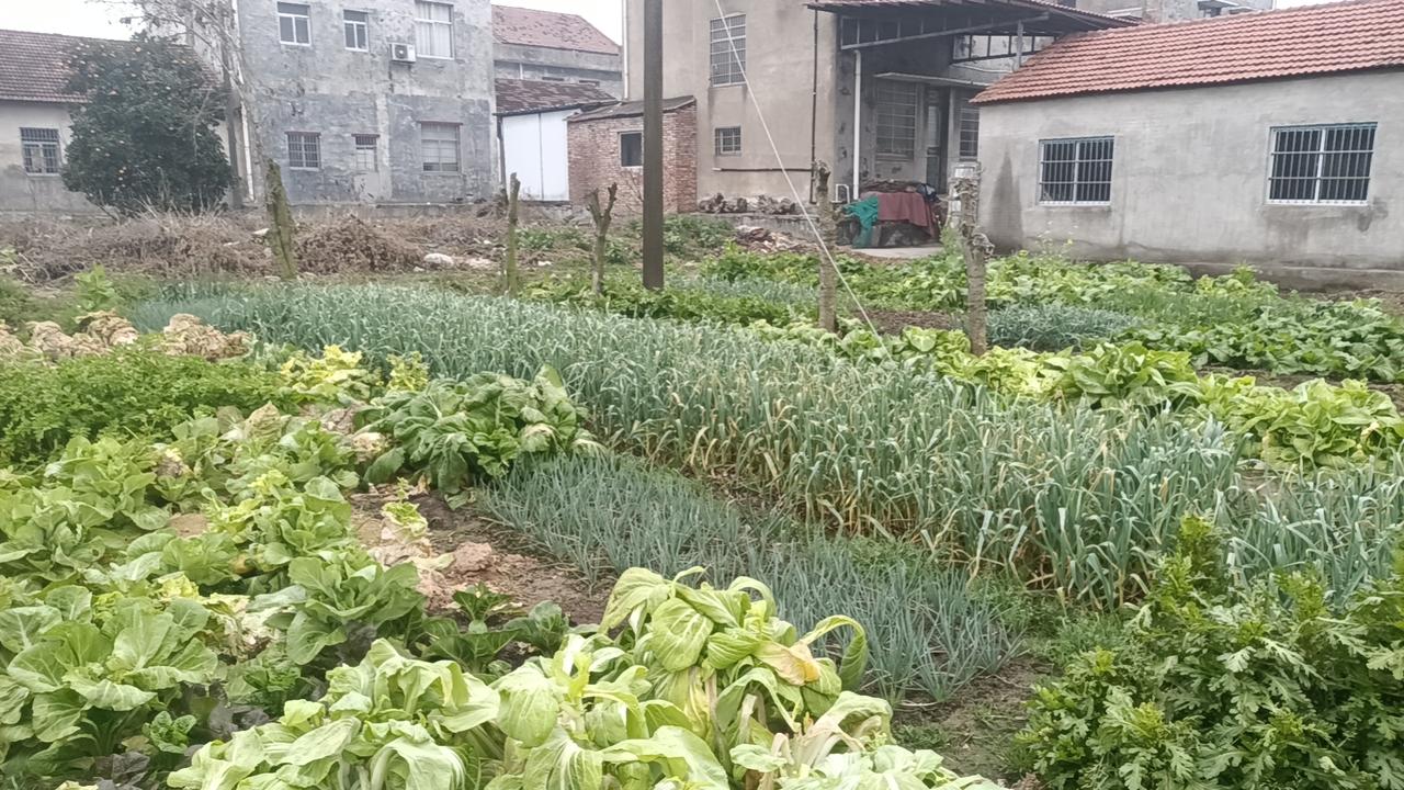 其实，淡定不是天生的，也不是一蹴而就的，它是一种习惯，一种心态的转变。你是否曾在