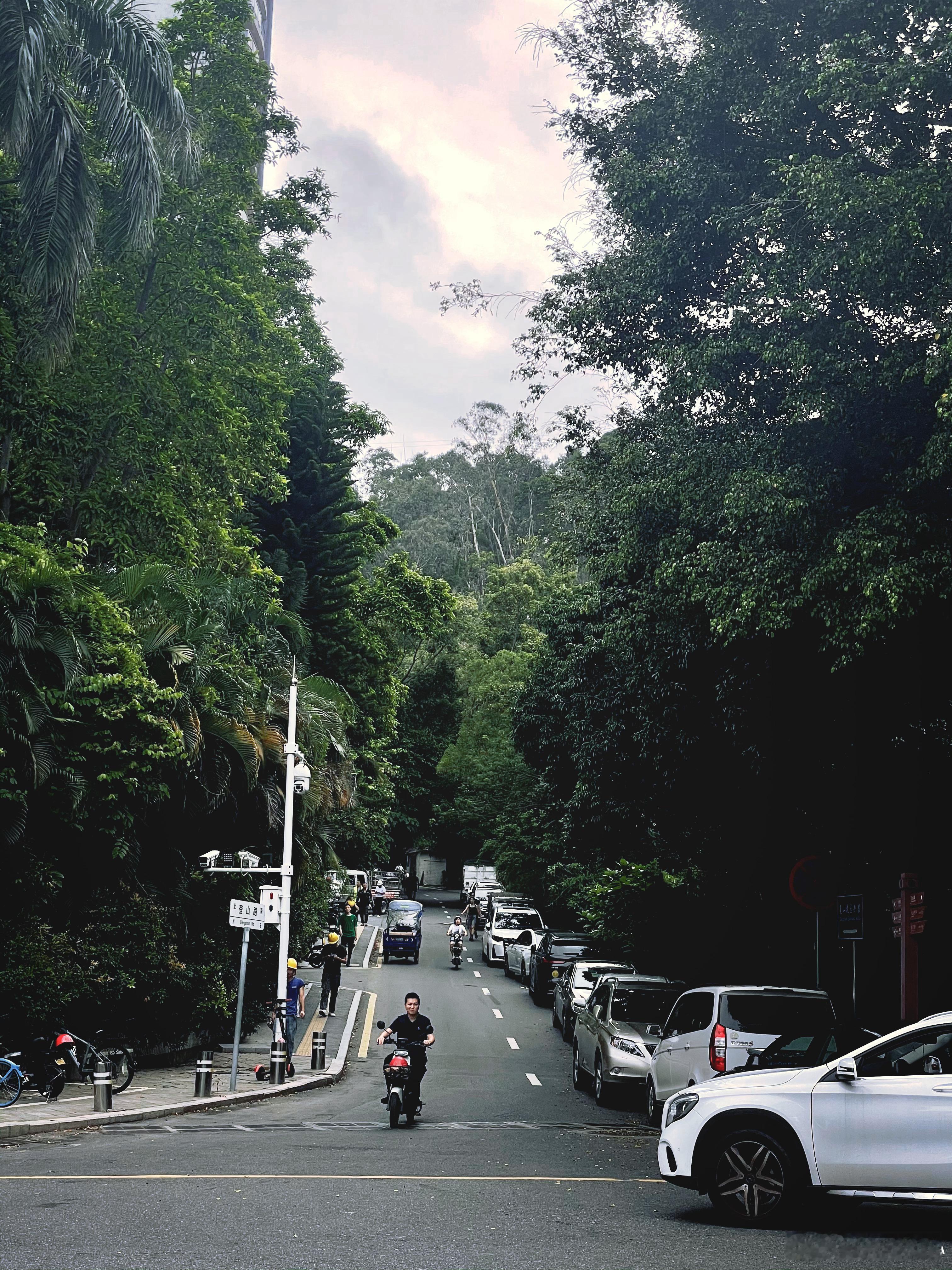 深圳一角。 