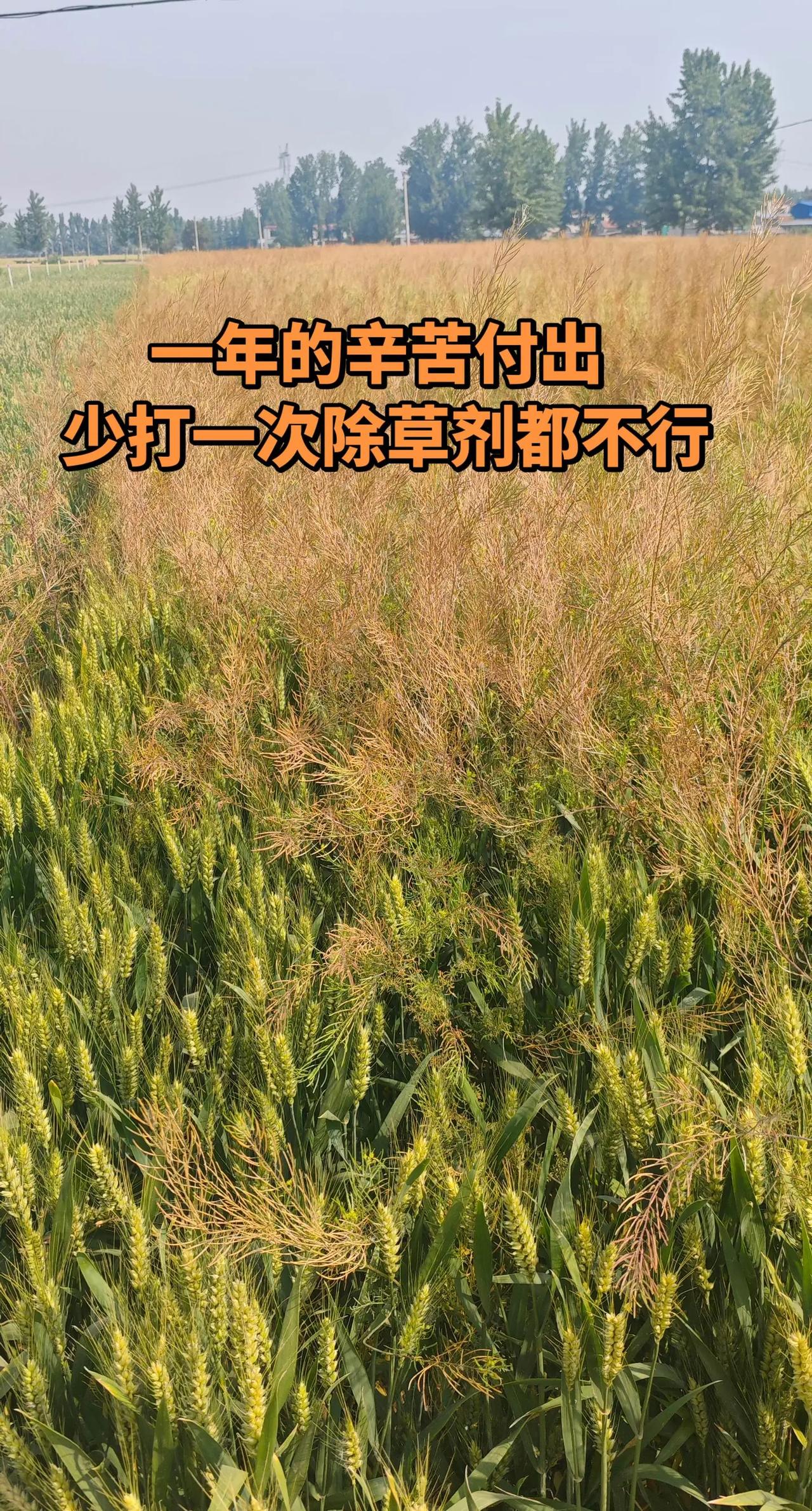 大自然的风景能治愈一切