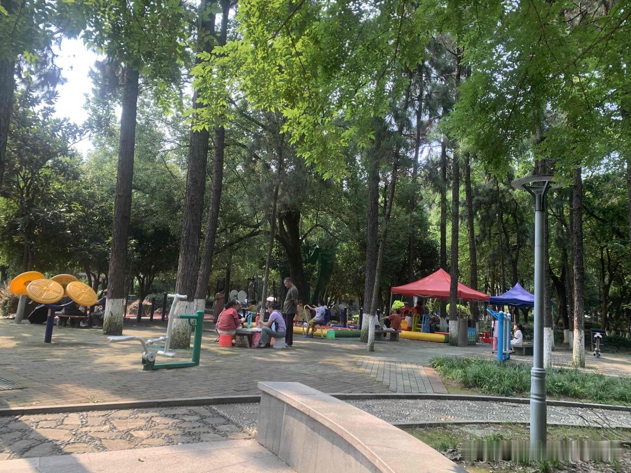 下象棋一定要背棋谱吗

下象棋并非硬性要求死记硬背棋谱，棋手可以依照自身水平与实