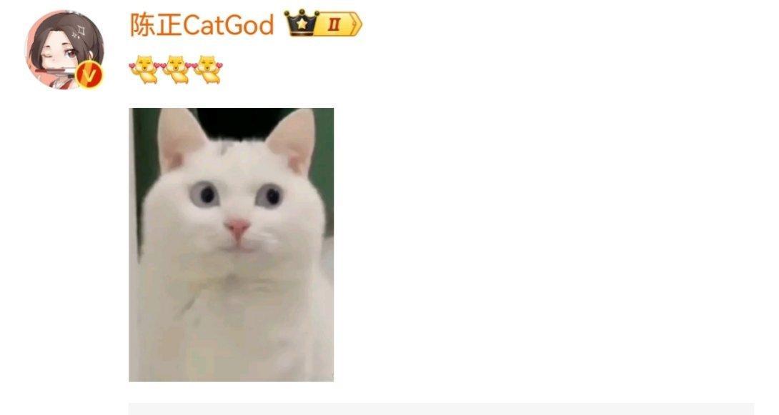 Cat幻舞叠翠星传说 Cat这小猫表情包也太多了～ 