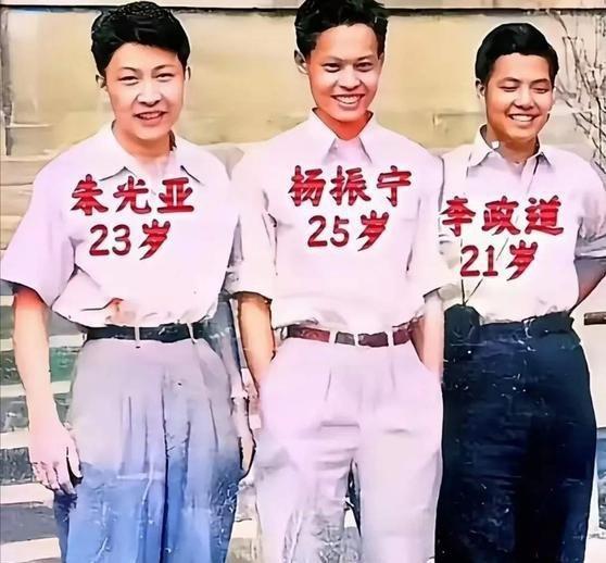 《两个强人如此亲密，决裂几乎不可避免——共同好友评价杨振宁与李政道关系，他们都是