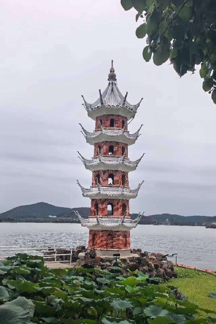 杭州29岁小伙在五一结婚前偷偷去公证处办理住房公证，把市值420万的全款房公证给