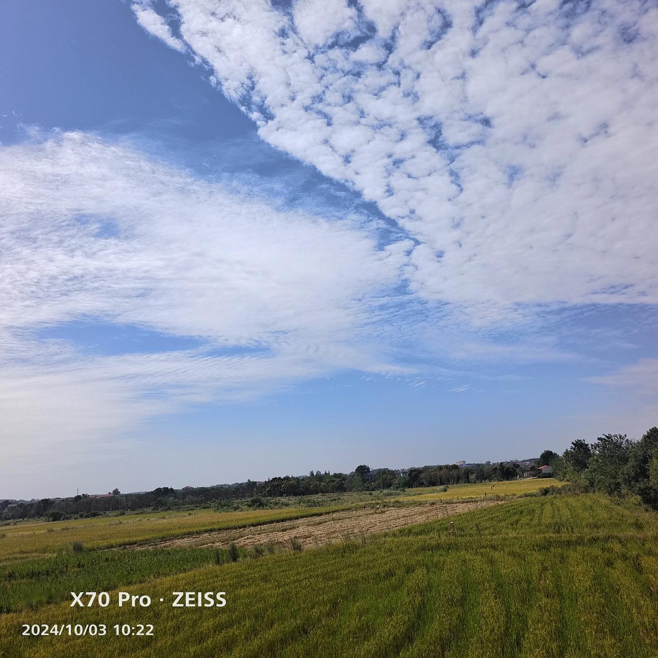 #分享你手机中的花花草草#