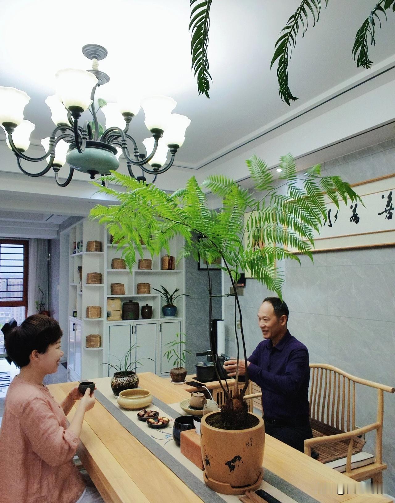 新的一天装满我所有的祝福，好运，健康，快乐，平安，送给你。愿我们每天都阳光灿烂，