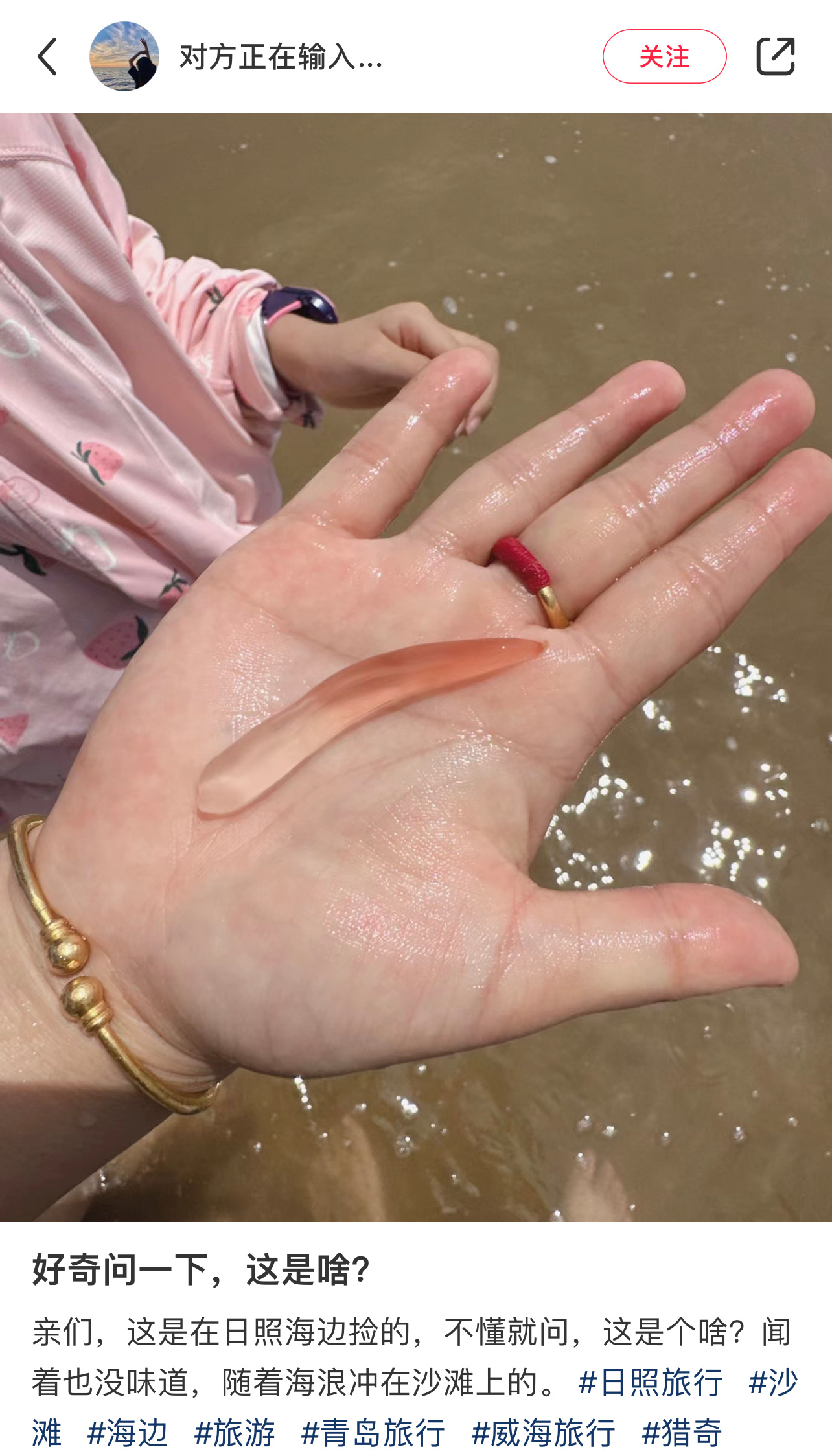 海边捡到的在是什么啊 ​​​