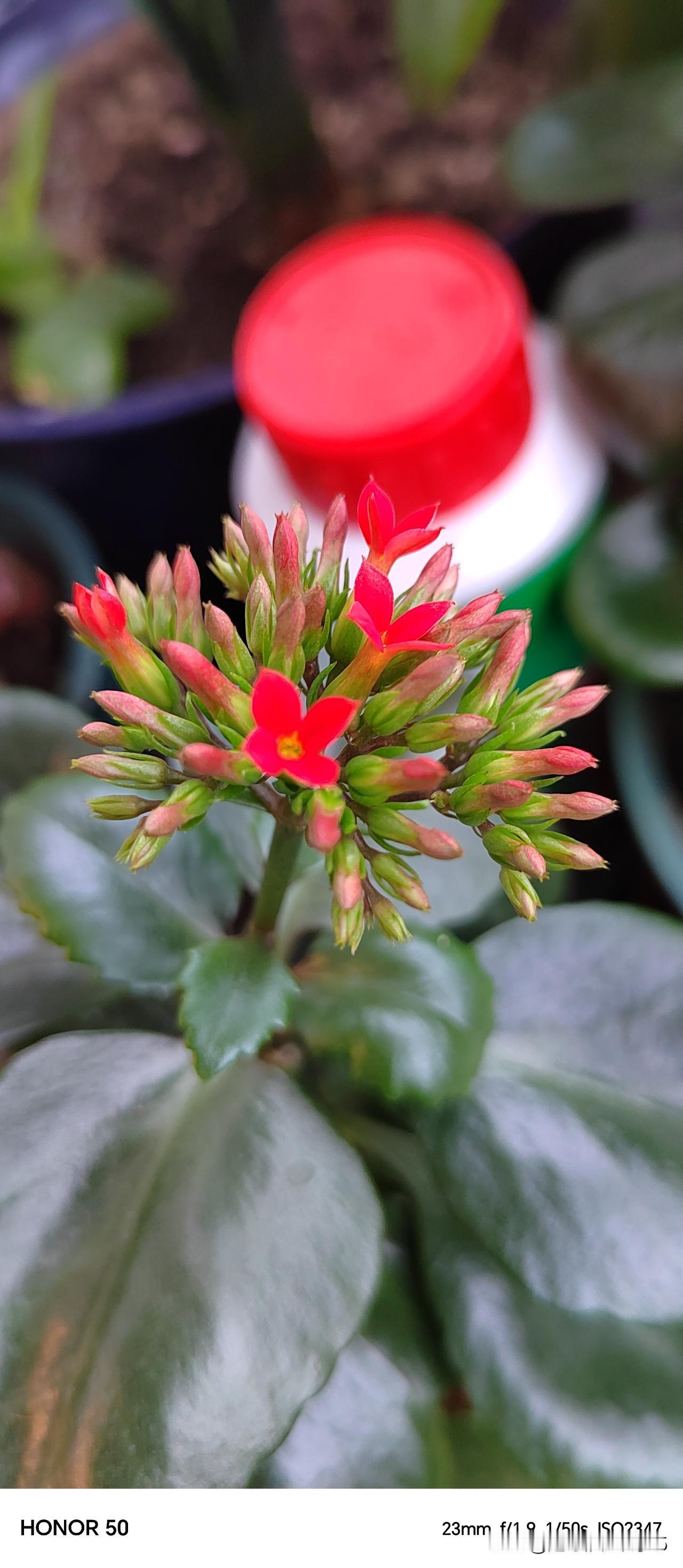 “安”！

  或许很多人不太相信，为家，哪个不求财？求官？求名？求利啊？我只求