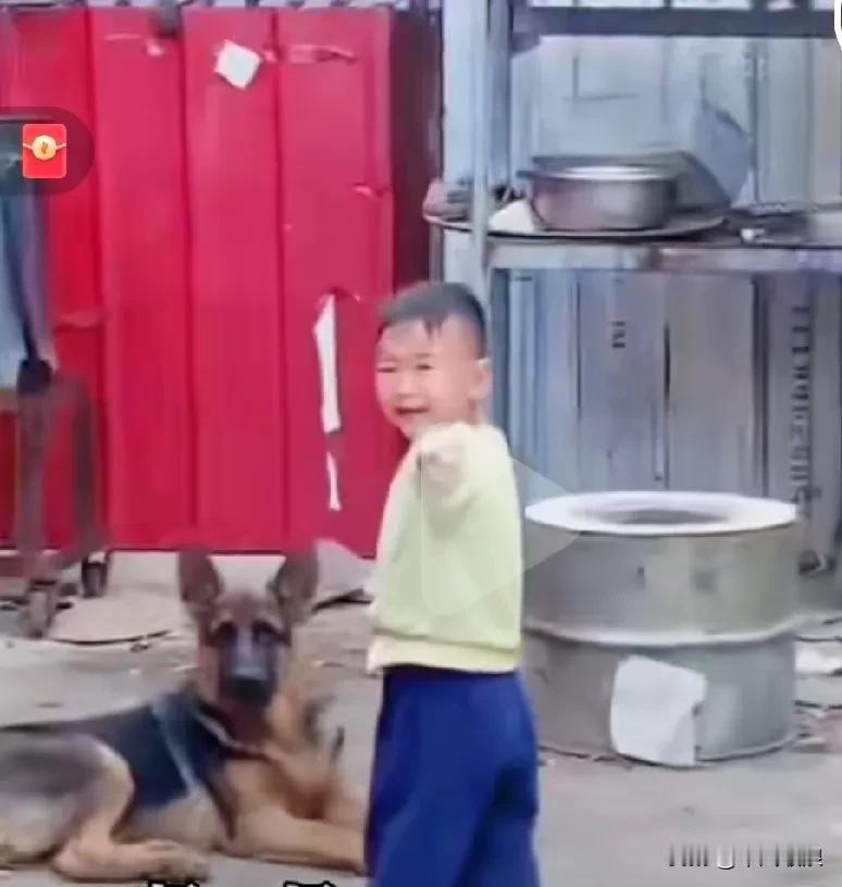 萌娃在狗狗面前哭着告壮，说妈妈打我你快去咬她，狗狗看了一下萌娃，又看了一下妈妈，