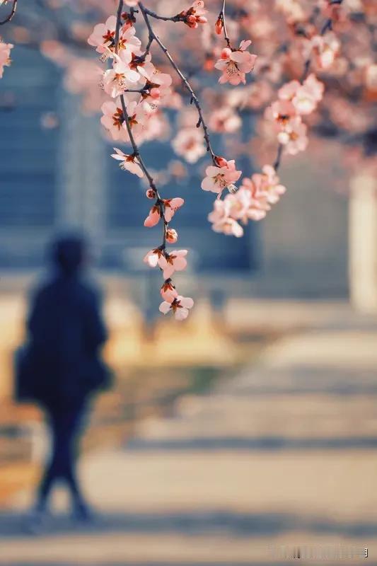 看到“秋乘落叶去”这个上联，一下子就感觉秋天的意境拉满了，落叶飘飘，秋意渐远。我