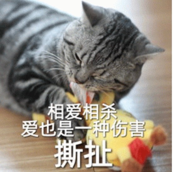 我有一个金粉，我观察他很久了。每一次出来在评论区都是阴阳我，喷我。我每次也都是怼