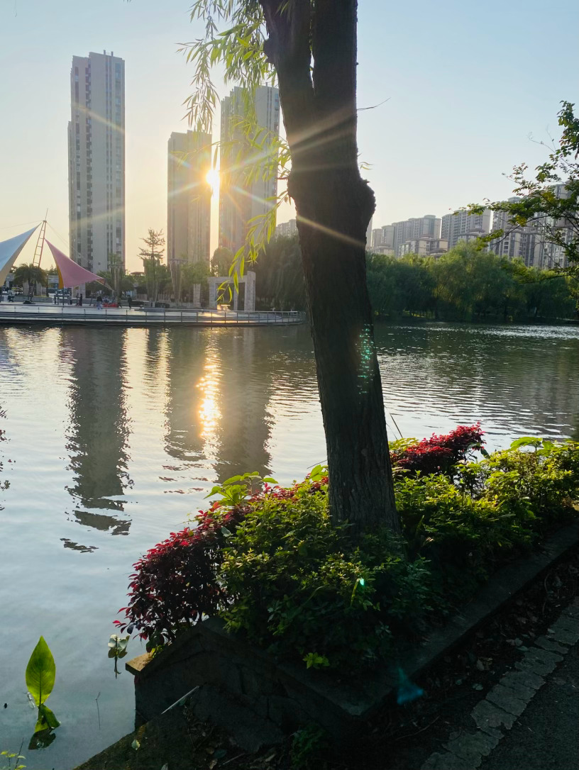 生活手记记录真实生活摄影摄影摄影 夕阳被林立的高楼温柔地挽留，没有刺眼的锋芒，只