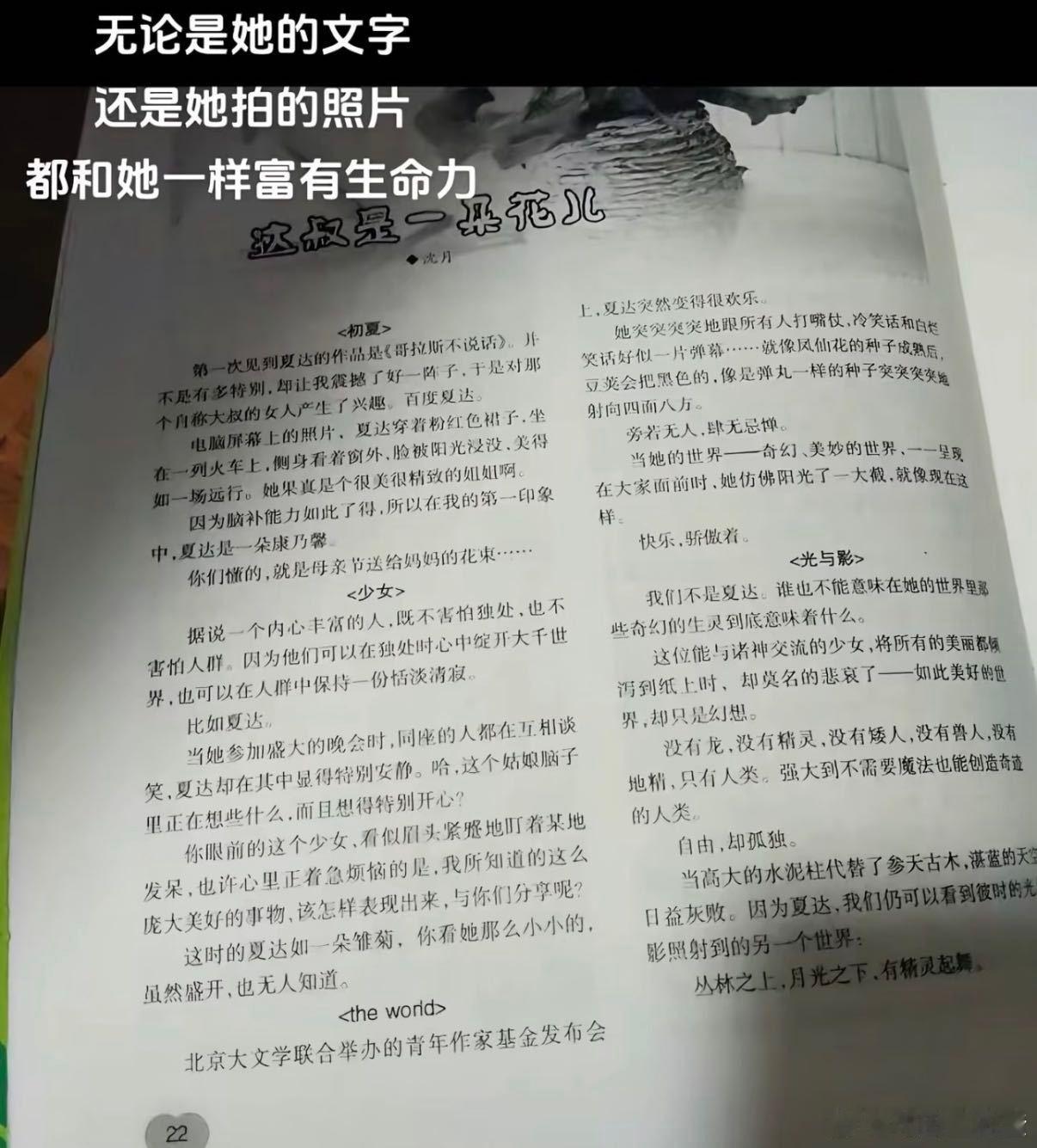 被沈月的文笔吻上了 她的文字有着治愈人心的魔力，记录日常的小确幸，回应粉丝的小期