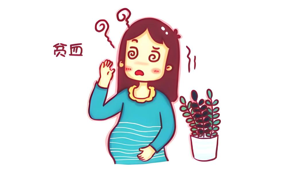 孕妇贫血怎么办该吃些什么？

孕期贫血多为缺铁性贫血，主要是铁元素摄入不足导致的