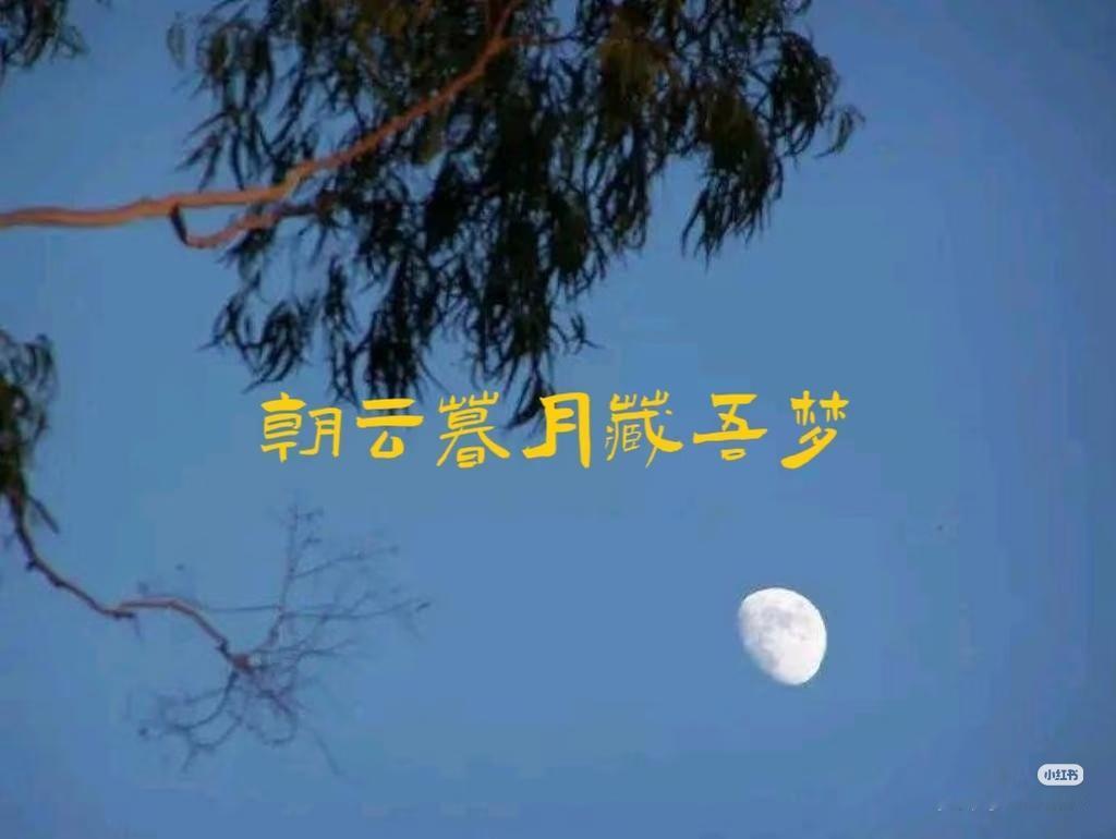 上联：朝云暮月藏吾梦，
下联：？