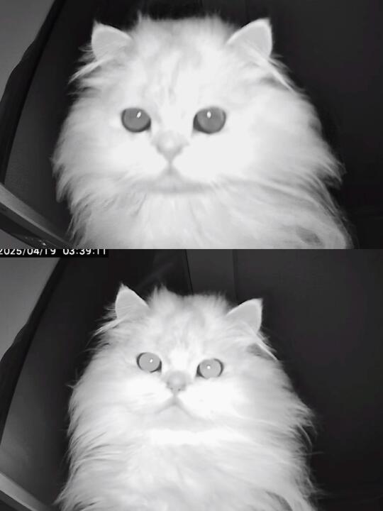 终于知道孩子为什么能拴住妈了