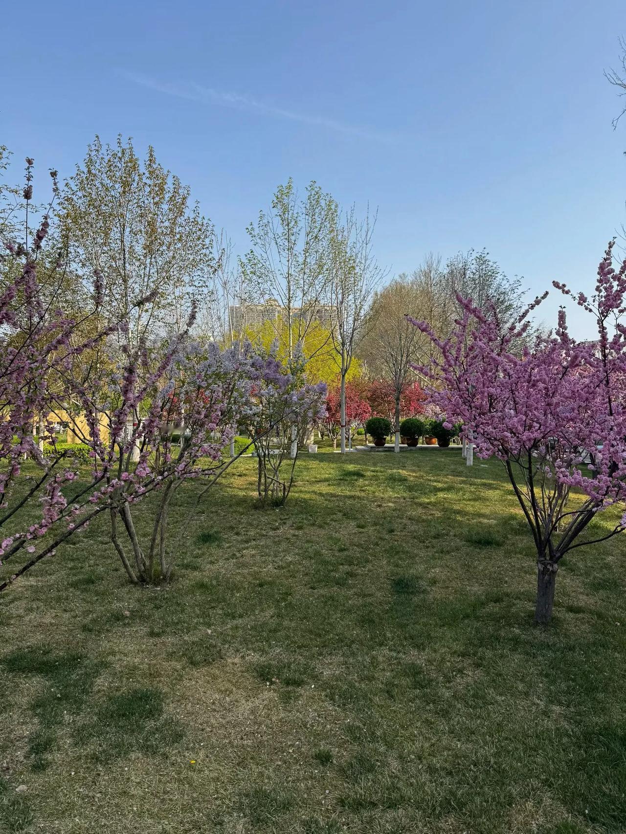 发通知了，4月4日—4月6日清明三天假期，对于工程人来说真的难得，往年哪有这么清
