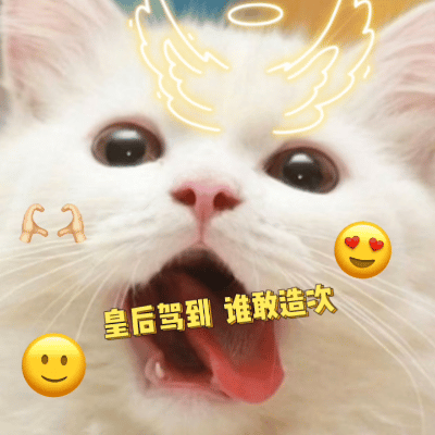 好长时间没用这几个表情包了，拿出来溜溜，后两个再也用不到了