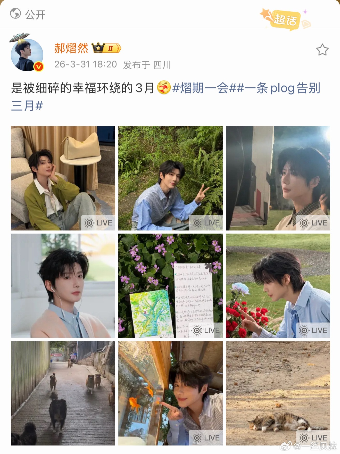 很好 没有错过郝熠然三月的任何一天 