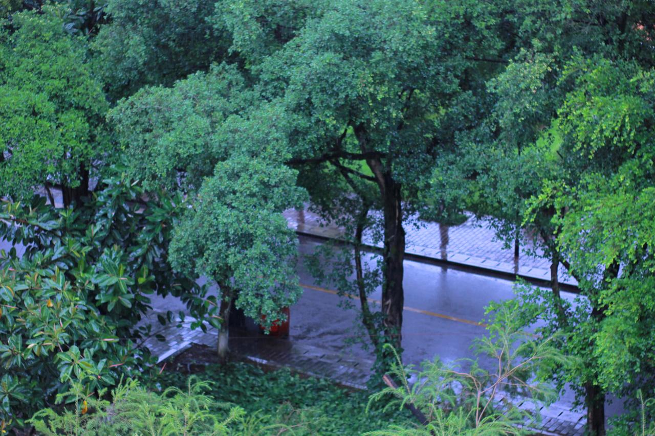 分享手机里随手拍的风景照片