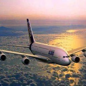 生如夏荷花