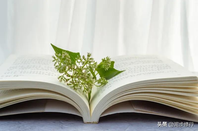 11句扎心又通透的高阶财富思维，读懂一半，就能少走十年弯路，建议收藏反复看👇