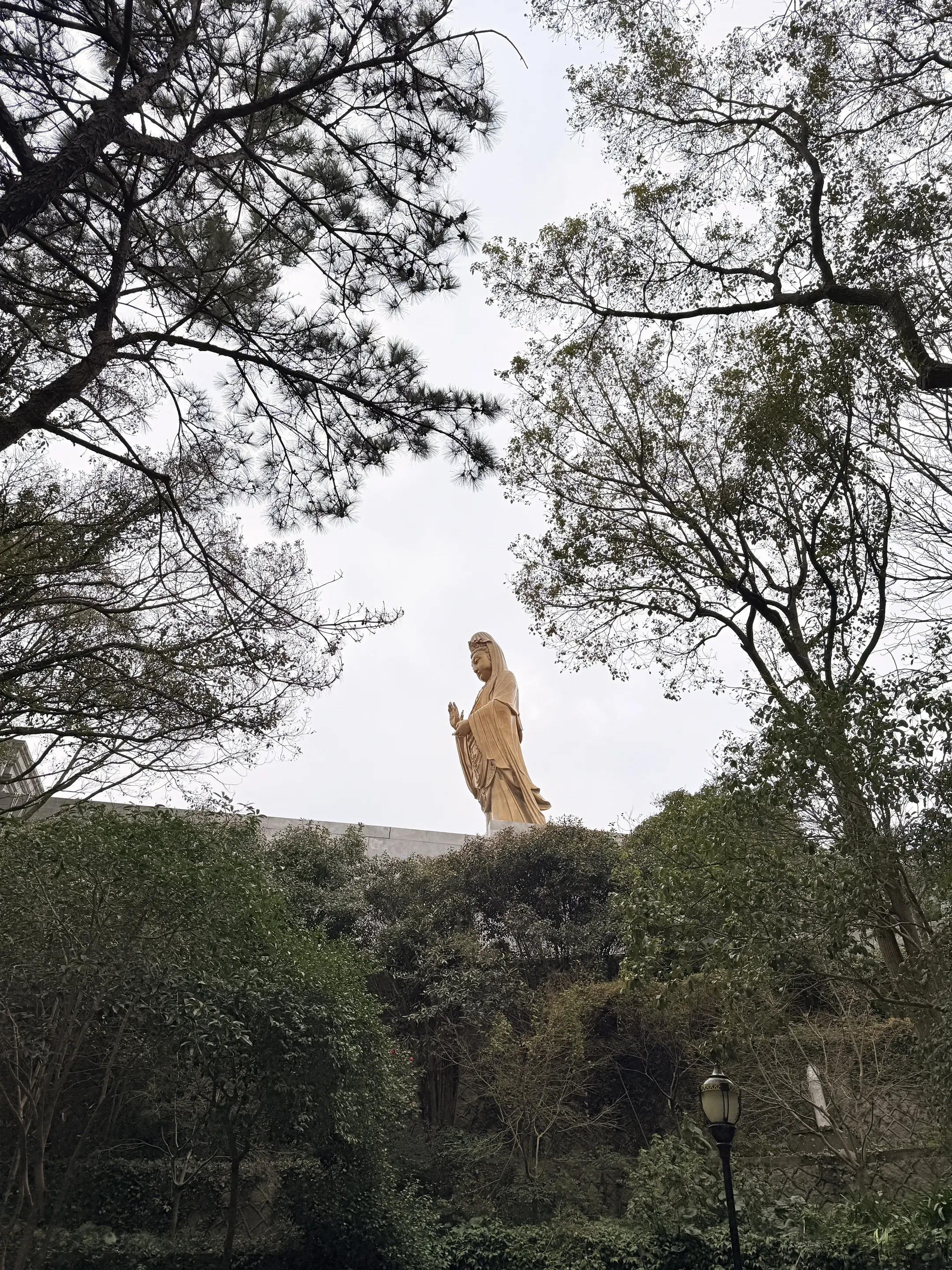 我渐渐读懂了因果，明白了天道，再也不羡慕那些看上去什么都有的人，因为你...