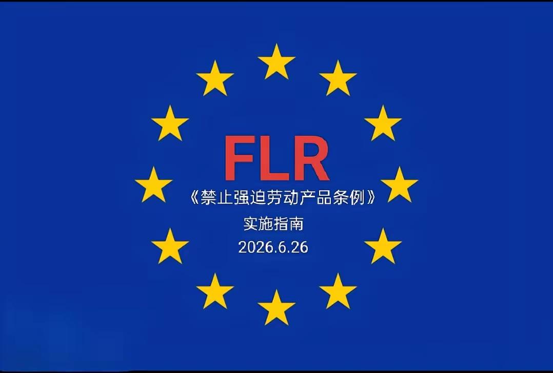 ✨关于欧盟的"反强迫劳动法案"✨

✧ 贫道个人明确反对美西方以“维吾尔族强迫劳