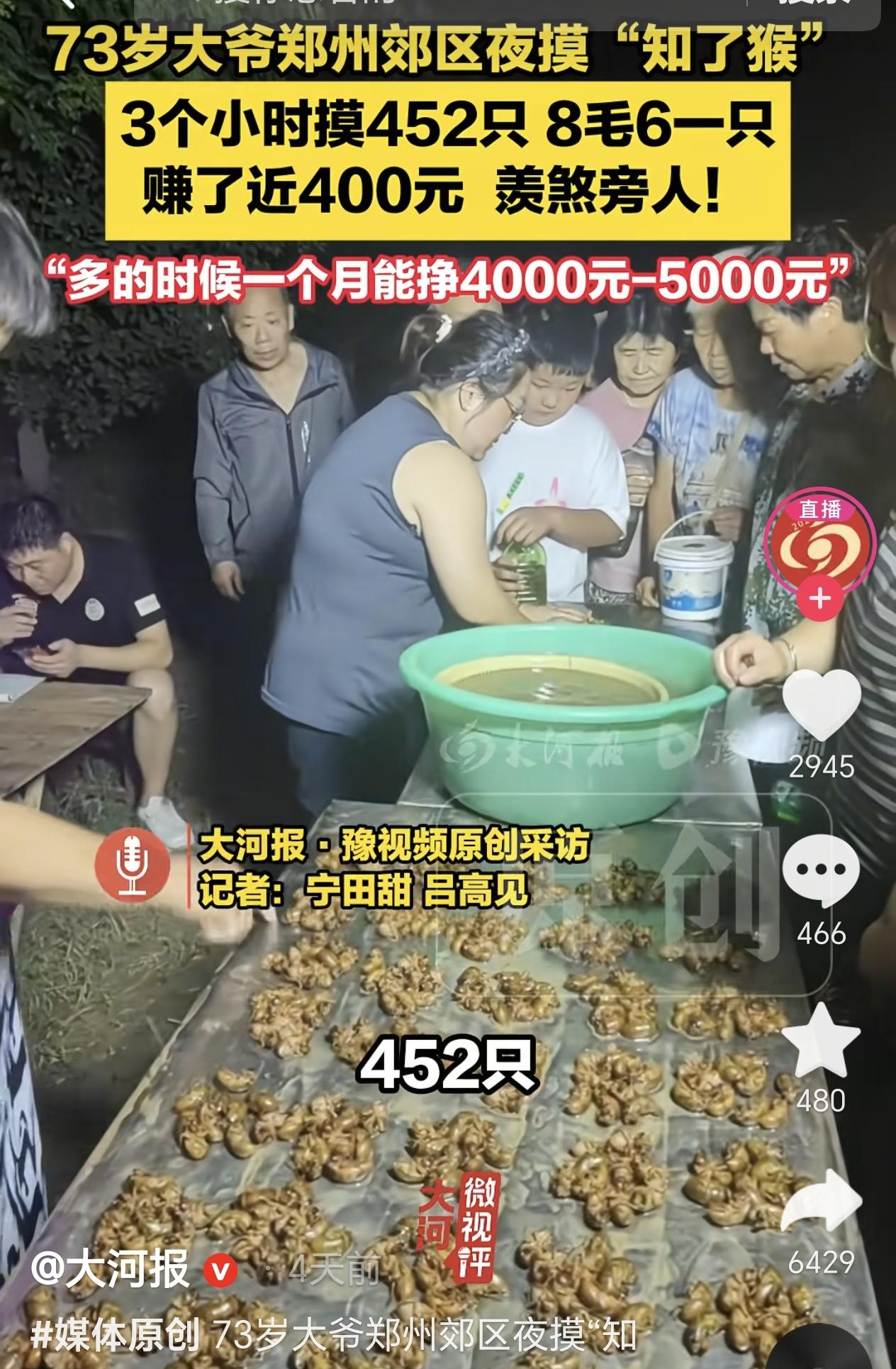 河南郑州，一73岁大爷晚上摸“知了猴”，3小时摸452只，8毛6一只，赚了近40